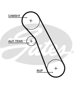 Ремень грм Gates 5541XS - Gates арт. 5541XS