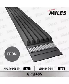 Ремень поликлиновой Miles 6PK1485 - MILES арт. 6PK1485