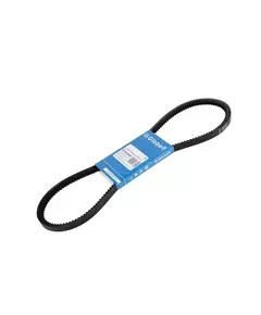 AVX13x1100 GLOBELT Ремень приводной зубчатый - Globelt арт. AVX13x1100