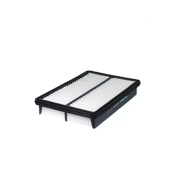Filtron AP 113/6 Фильтр воздушный