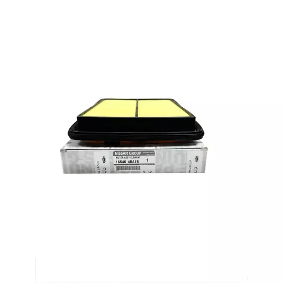 Фильтр воздушный 165464BA1B для Nissan X-Trail (T32) 14-, Qashqai (J11) 13-, Renault Koleos II 16-