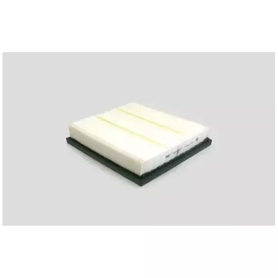 Воздушный фильтр BIG FILTER GB-95031