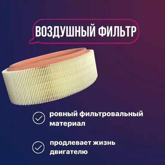 Фильтр воздушный для Renault Clio, Kangoo, Logan, Megane, Sandero, Symbol. арт - 7701070525